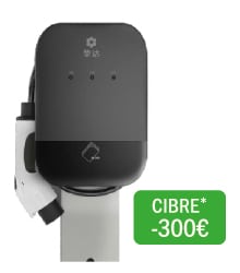 Photo de la borne Guardian