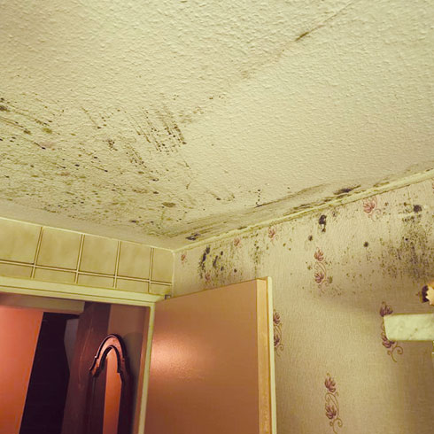 Salle de bain ayant subi un dégât des eaux.